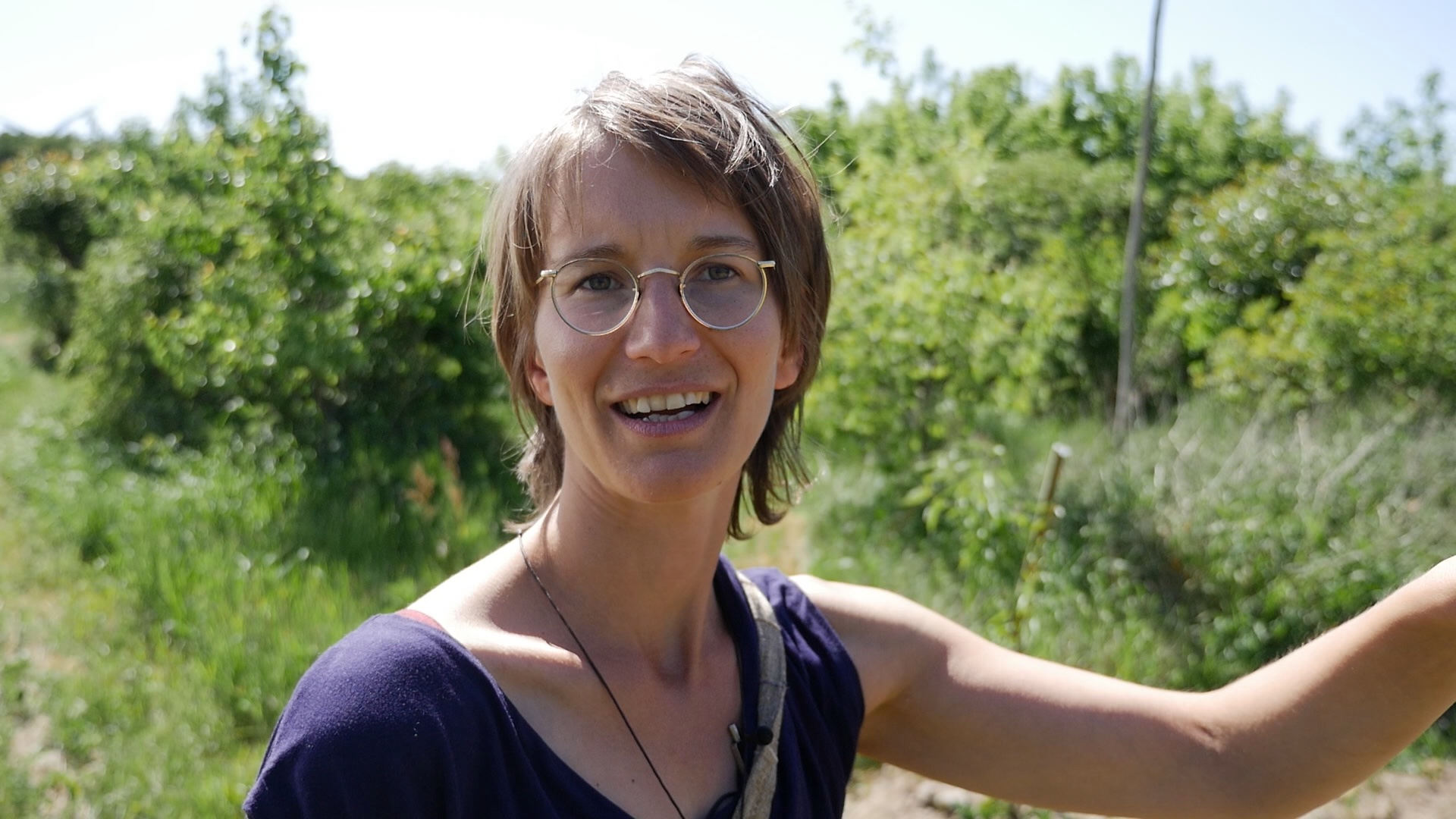 Conversation in the food forest